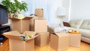 Packers and Movers Narhe Pune