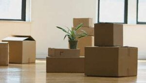 Packers and Movers from Pune to Agra