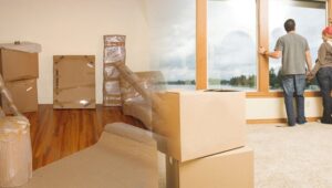 Packers and Movers from Pune to Eluru
