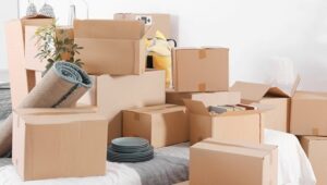Packers and Movers from Pune to Hyderabad