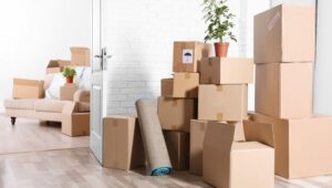 Packers and Movers from Pune to Nellore