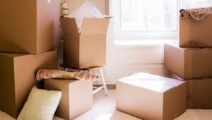 Packers and Movers from Pune to Gaya