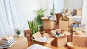 Packers and Movers from Pune to Jalna