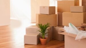 Packers and Movers from Pune to Mangalore