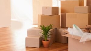 Packers and Movers Kiwale Pune