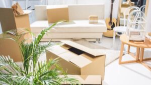 Packers and Movers Pirangut Pune
