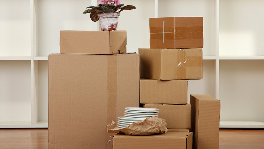 Why Hiring Professional Packers and Movers Is Beneficial