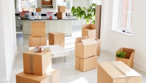 Packers and Movers Pimpri