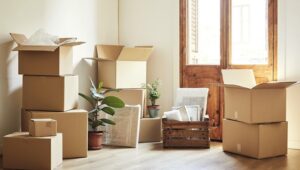 Packers and Movers Alephata