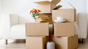 Packers and Movers Anand Nagar