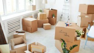 Packers and Movers Ashtapur