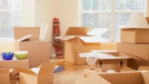 Packers and Movers Chande