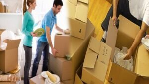 Packers and Movers Ideal Colony