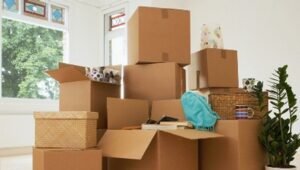 Packers and Movers Sopan Baug