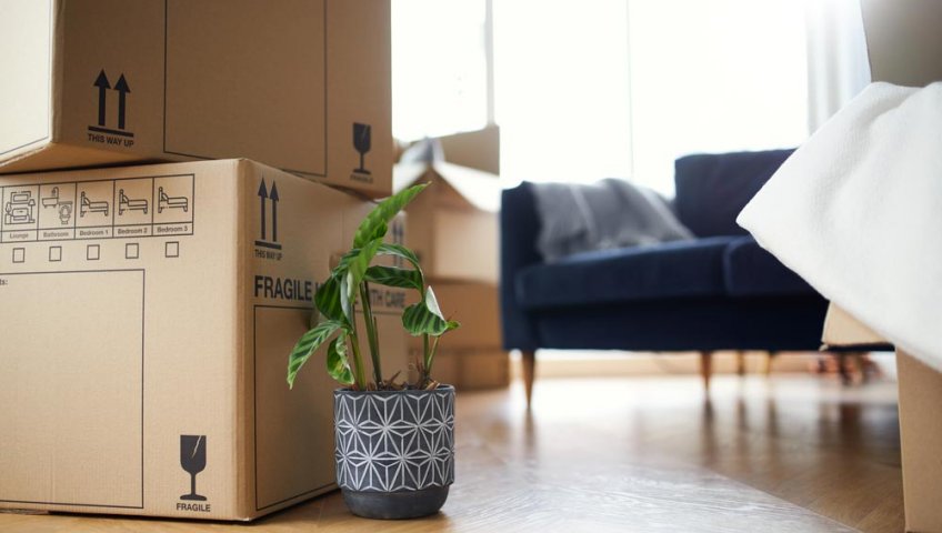 Things To Discuss With Your Mover During An In-Home Consultation